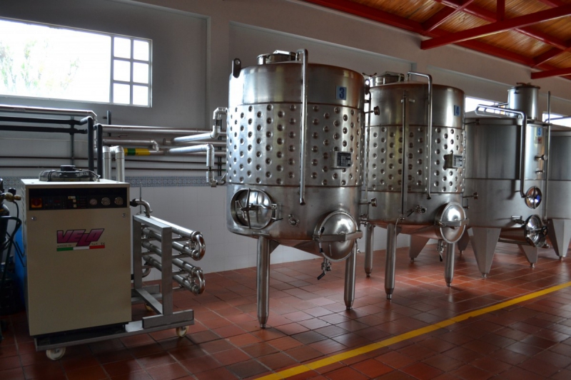 cave-LA GARDE FREINET-min_wine_production_cantine_winery_drink_alcohol_vine_beverage-902036